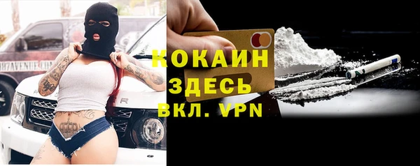 молекула духа Алексин