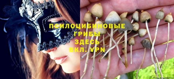 молекула духа Алексин