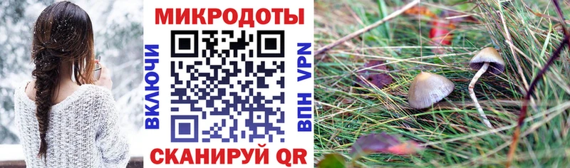 Галлюциногенные грибы прущие грибы  Арзамас 